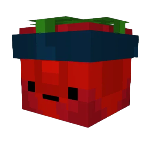 SnugKhameleon Minecraft avatar head, 3D render