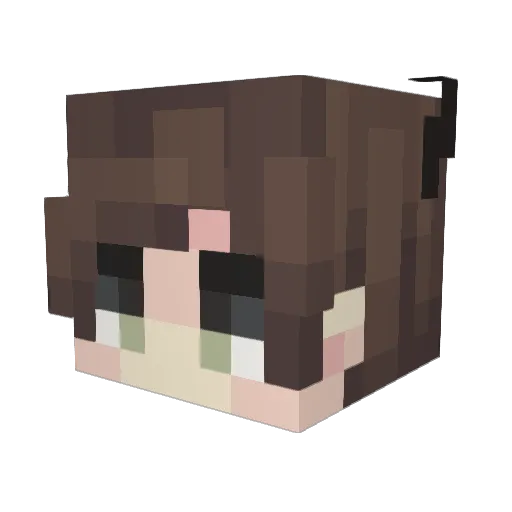 Snuggle_Wolfie Minecraft avatar head, 3D render