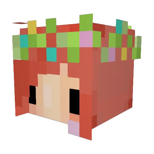 Snugglefeather Minecraft avatar head, 3D render