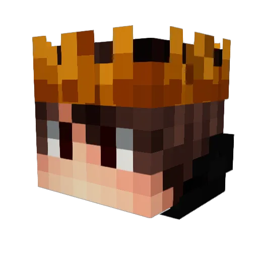 SnuifDuif_ Minecraft avatar head, 3D render