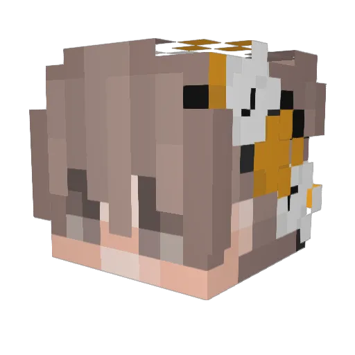 SnuifKabouter Minecraft avatar head, 3D render