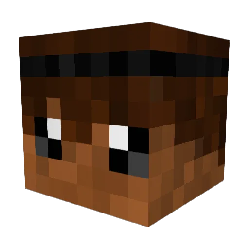 Snuif_Duif09 Minecraft avatar head, 3D render