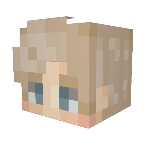 Snuijt Minecraft avatar head, 3D render