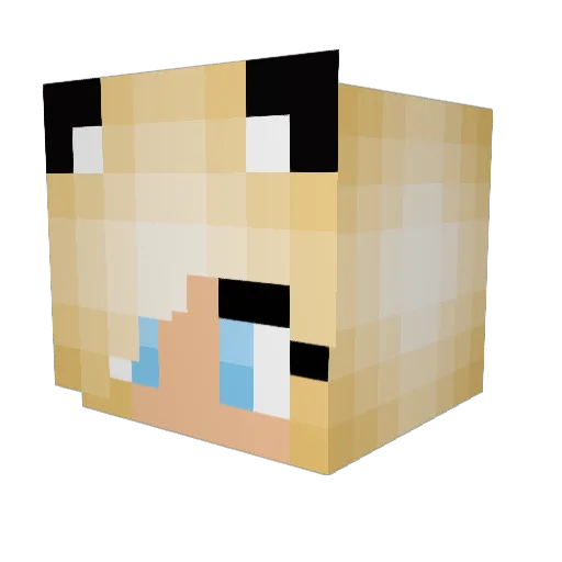 SnuppaElina Minecraft avatar head, 3D render