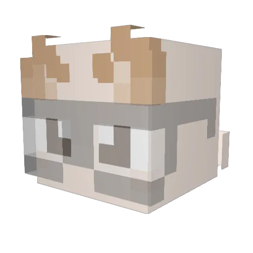 Snuuffeedd Minecraft avatar head, 3D render