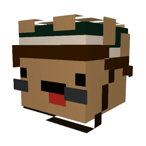 Snva Minecraft avatar head, 3D render