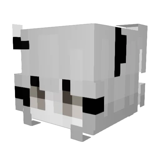 Snvwy07 Minecraft avatar head, 3D render