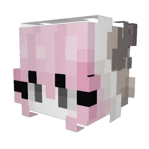 Snxpbaxk Minecraft avatar head, 3D render