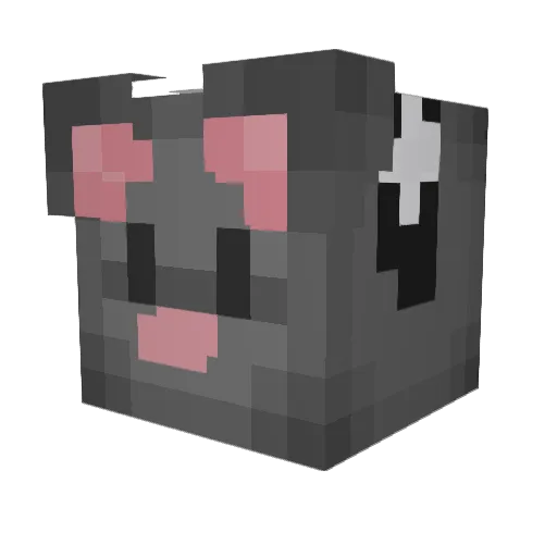 Snyckersh Minecraft avatar head, 3D render