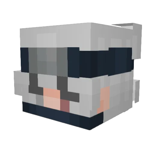 SnydeTV Minecraft avatar head, 3D render