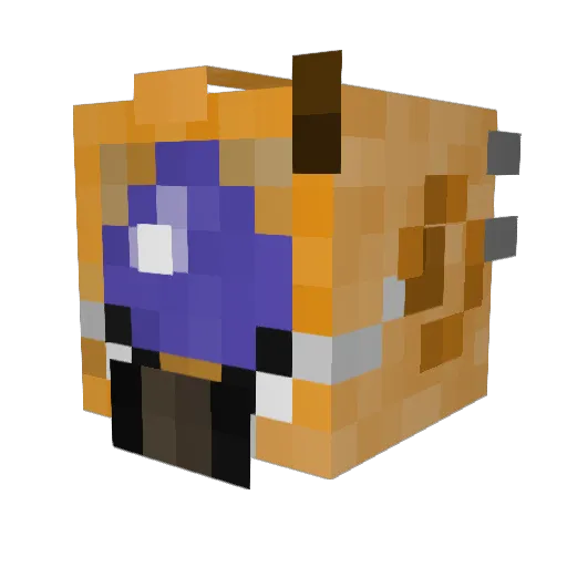 Snyder1015 Minecraft avatar head, 3D render
