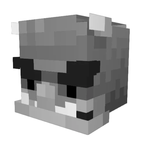 Snyper345 Minecraft avatar head, 3D render