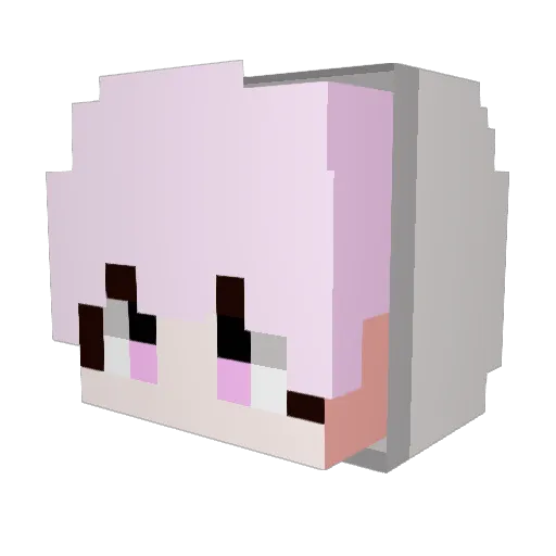 So11O Minecraft avatar head, 3D render