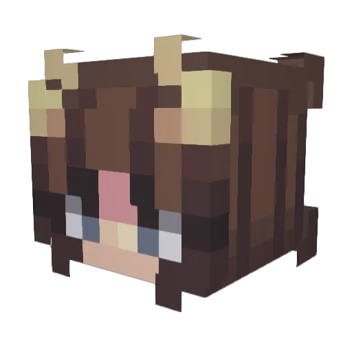 SoBeRnOoDs Minecraft avatar head, 3D render