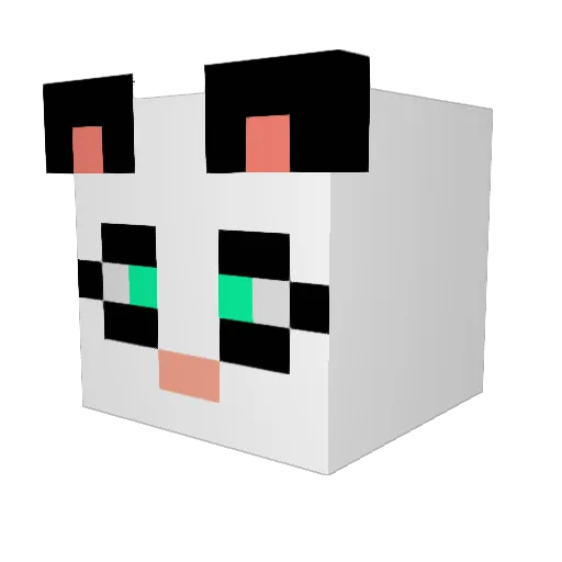 SoCaEk Minecraft avatar head, 3D render