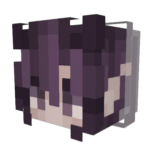 SoCoLoCo Minecraft avatar head, 3D render