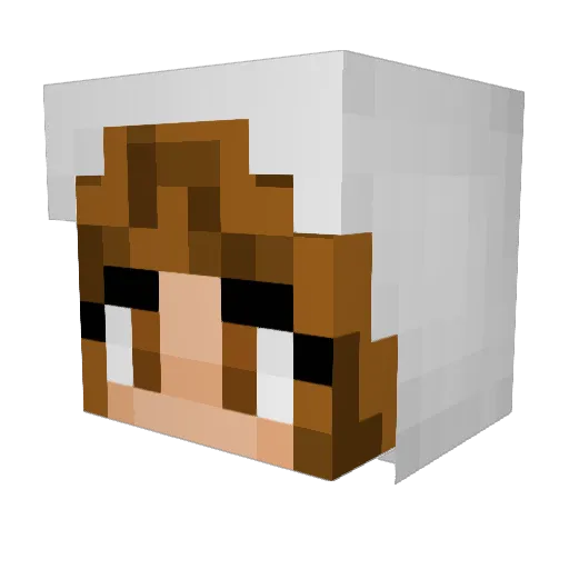 SoEinHxnd Minecraft avatar head, 3D render