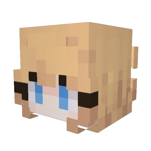 SoHammey Minecraft avatar head, 3D render