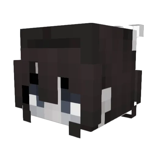 SoIara Minecraft avatar head, 3D render