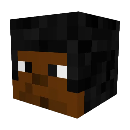 SoJe_ Minecraft avatar head, 3D render