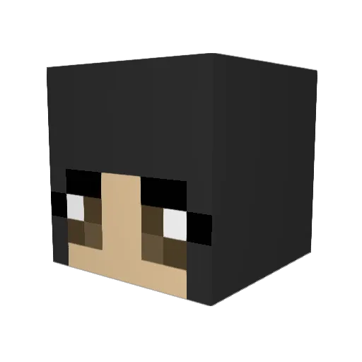 SoLo_XVI Minecraft avatar head, 3D render