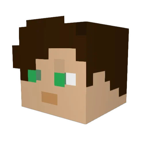 SoMeBoDyNL Minecraft avatar head, 3D render