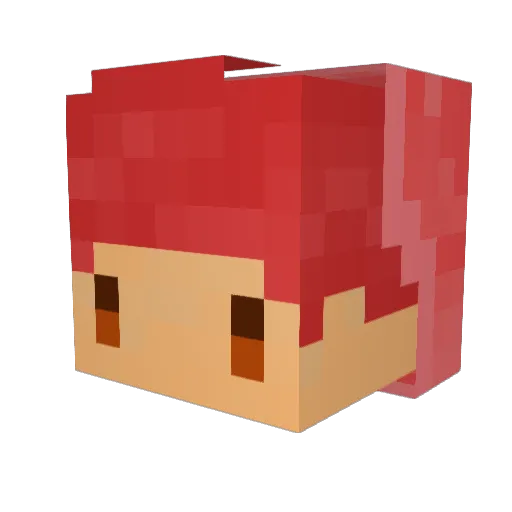SoNeTaeNy Minecraft avatar head, 3D render