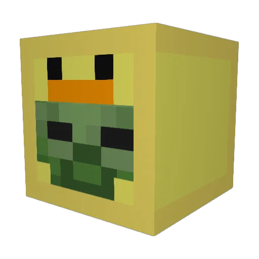 SoP0sh Minecraft avatar head, 3D render