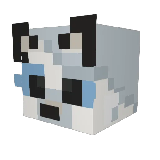 SoSteak943 Minecraft avatar head, 3D render