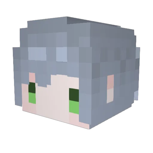SoThatMeans Minecraft avatar head, 3D render