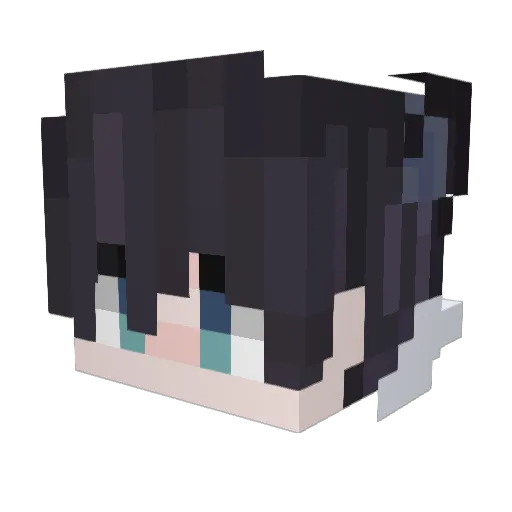 SoTiX Minecraft avatar head, 3D render