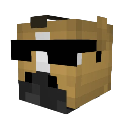 SoUmGuaxinim Minecraft avatar head, 3D render