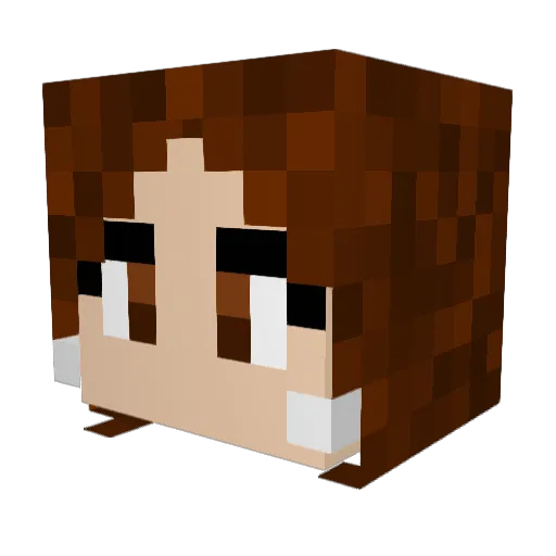 So_Fetch_ Minecraft avatar head, 3D render