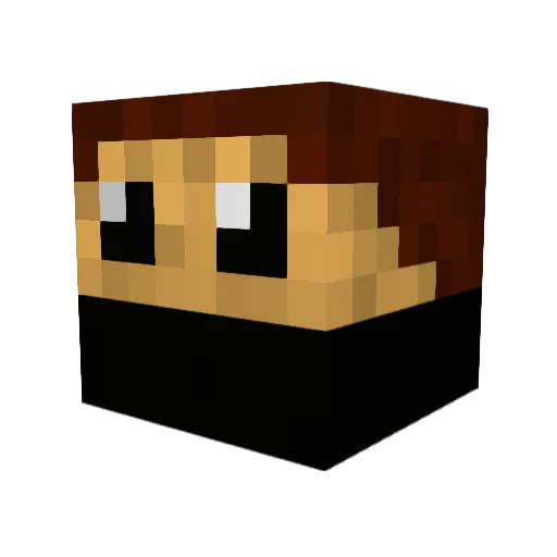 So_Much_Nope Minecraft avatar head, 3D render