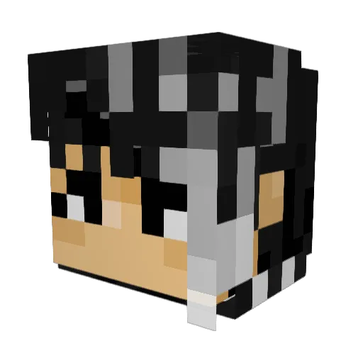 So_Zetta_Slow23 Minecraft avatar head, 3D render