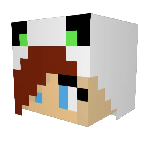 Soaette Minecraft avatar head, 3D render