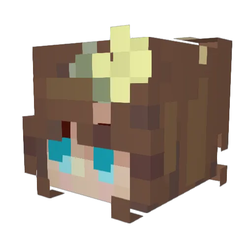 SoapFish21 Minecraft avatar head, 3D render