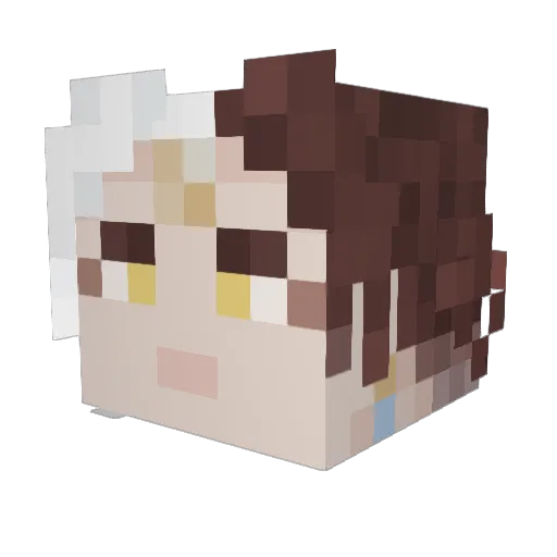 Soapandbath Minecraft avatar head, 3D render