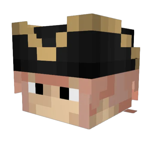 Soapbirb Minecraft avatar head, 3D render