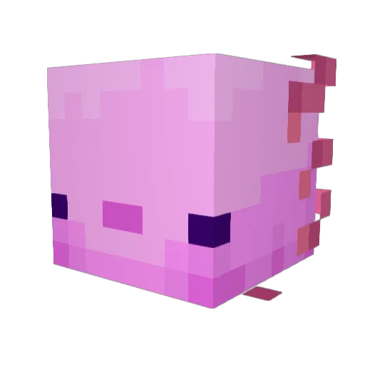 Soapie6 Minecraft avatar head, 3D render