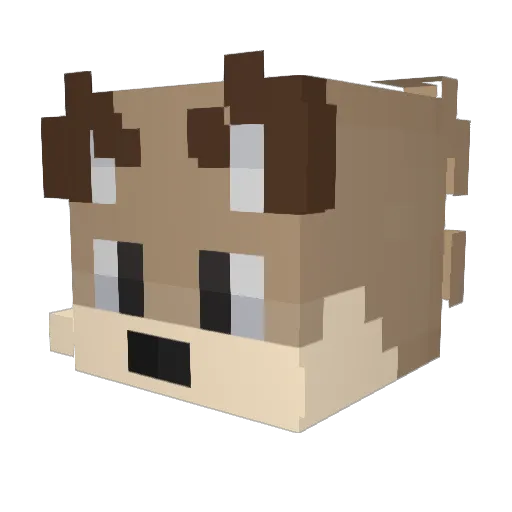 Soaplexi Minecraft avatar head, 3D render