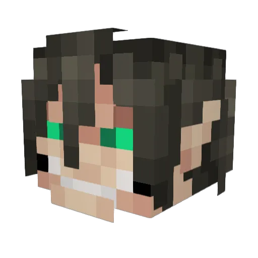 Soapoka Minecraft avatar head, 3D render
