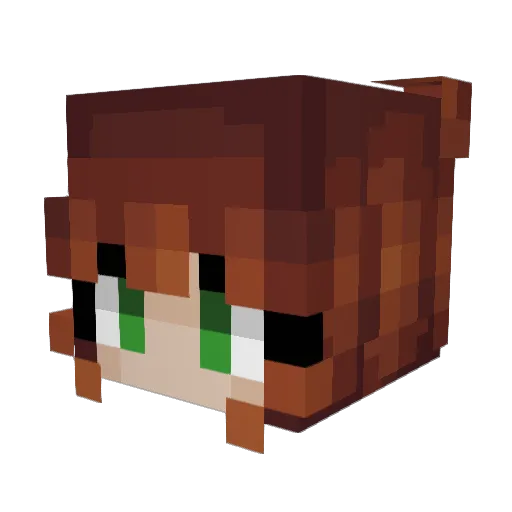 Soapsible Minecraft avatar head, 3D render
