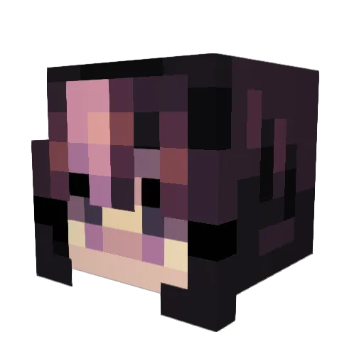 SoapyBeebo Minecraft avatar head, 3D render