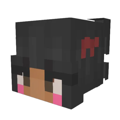 SoapyPony64 Minecraft avatar head, 3D render