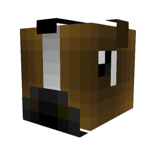 SoapyR Minecraft avatar head, 3D render