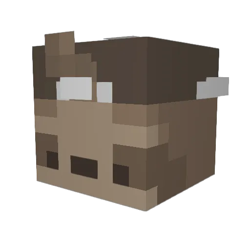 SoapyVolcano473 Minecraft avatar head, 3D render