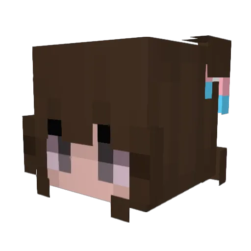 Soarimm Minecraft avatar head, 3D render