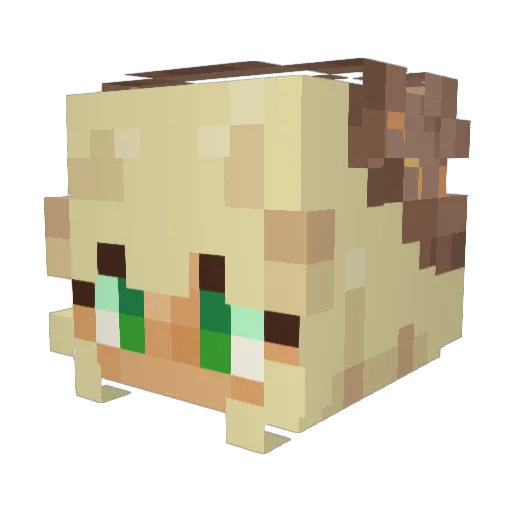 SoarinSkyy Minecraft avatar head, 3D render
