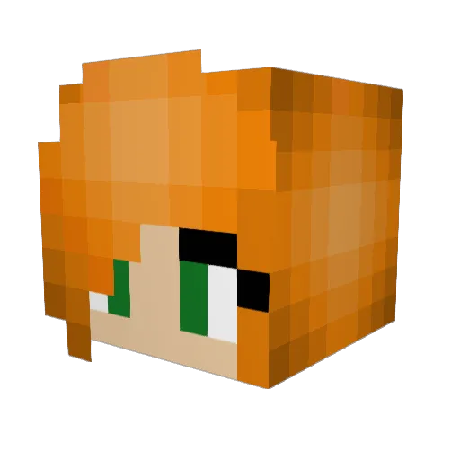 SoaringArrow22 Minecraft avatar head, 3D render